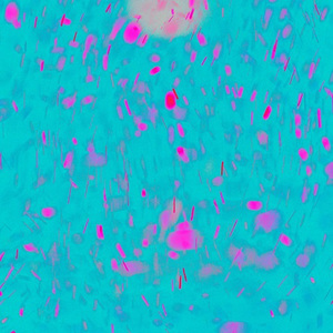 xxx69xxx日本老师
